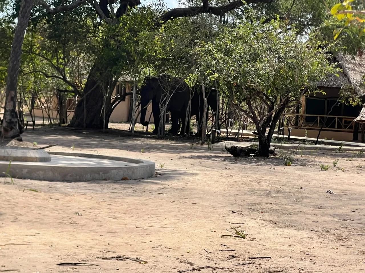 Lodge Grounds 01